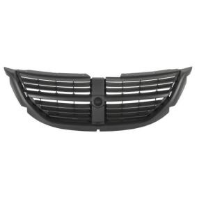 Kühlergrill 6502-07-0913992P
