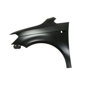 Kotflügel 6504-04-9546311Q