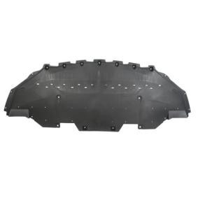 Motor- / Unterfahrschutz 6601-02-2589860P