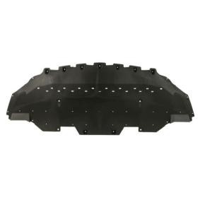 Motor- / Unterfahrschutz 6601-02-2589861P