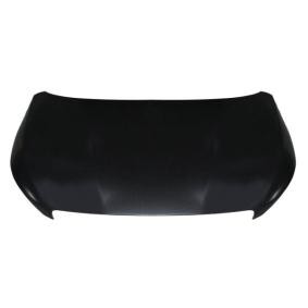 Motorhaube 6803-00-5520280P