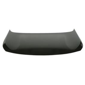 Motorhaube 6803-00-5547281P