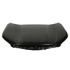 Motorhaube 6803-00-6741281P