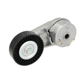 Köp Remskiva, vevaxel av BTA E620011BTA till det låga priset 820,24 kr