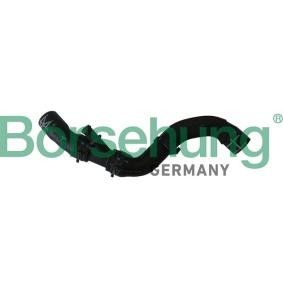 Compre Tubo flexível do radiador da Borsehung B11965 a um preço baixo por 22,84 €