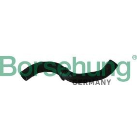 Compre Tubo flexível do radiador da Borsehung B11966 a um preço baixo por 13,37 €