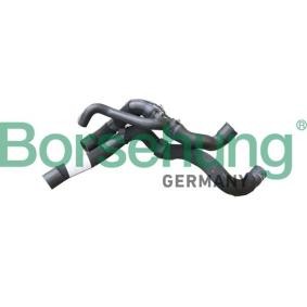 Acquista Flessibile radiatore da Borsehung B11974 a buon mercato per soli 35,34 €
