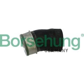 Ladeluftschlauch von Borsehung