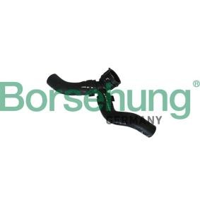 Acquista Flessibile radiatore da Borsehung B11984 a buon mercato per soli 19,64 €