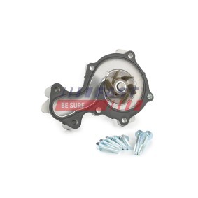 Achetez des Pompe à eau FAST FT57189 à prix pour 70,05 €