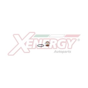 Kühlwasserthermostat von AP XENERGY