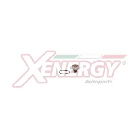 Kühlwasserthermostat für BMW von AP XENERGY