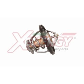 Kühlwasserthermostat XT6838 für FIESTA Kasten (F3L, F5L) für 10,40 CHF