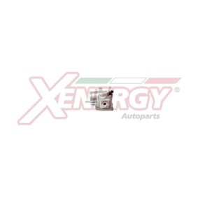 Kühlwasserthermostat von AP XENERGY