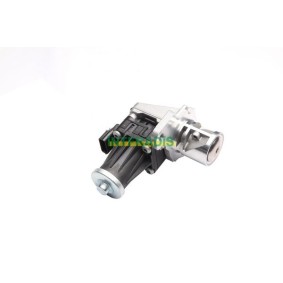 AGR-Ventil 25752 von INTFRADIS günstig für 153,82 € online kaufen