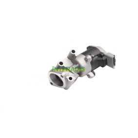 Acquista Valvola EGR da INTFRADIS 25861 a buon mercato per soli 101,27 €