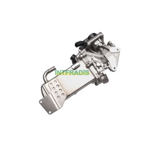 Acquista Valvola EGR da INTFRADIS 25904 a buon mercato per soli 376,41 €