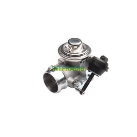 AGR-Ventil 25981 für VW