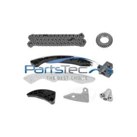 Steuerkettensatz PTA114-0290