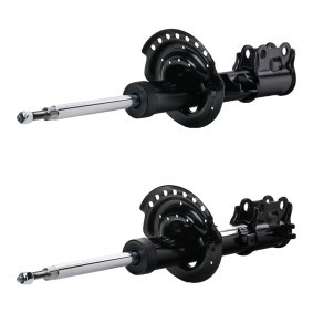 Stoßdämpfer von RIDEX