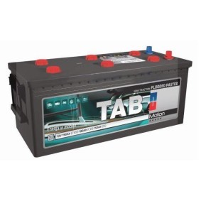 Batterie für IVECO von TAB