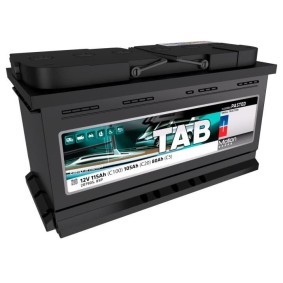 Batterie 207905 von TAB günstig für 163,82 € online kaufen