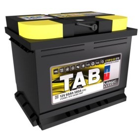 Batterie 212060 von TAB günstig für 109,79 € online kaufen