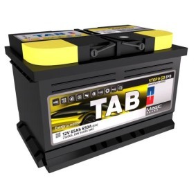 Batterie 212065