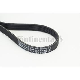 Achetez des Courroie Poly-V CONTITECH 6PK1034 EXTRA à prix pour 18,98 €