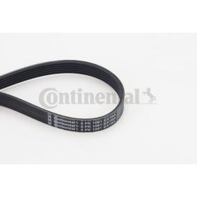 Achetez des Courroie Poly-V CONTITECH 6PK1061 EXTRA à prix pour 21,03 €