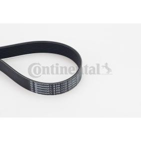 Compre Correia trapezoidal estriada da CONTITECH 8PK1122 EXTRA a um preço baixo por 26,02 €