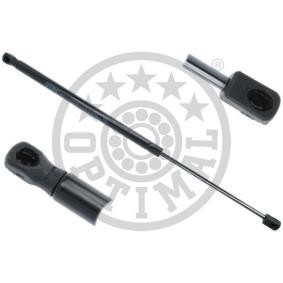 Heckklappendämpfer AG-50031