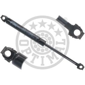 Heckklappendämpfer AG-50585