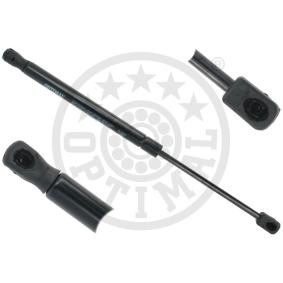 Heckklappendämpfer AG-50927