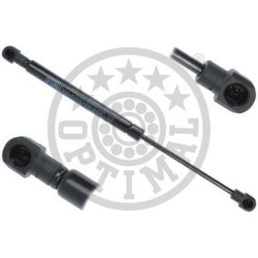 Heckklappendämpfer AG-51292