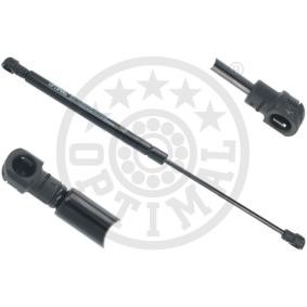 Heckklappendämpfer AG-51379