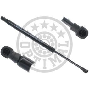 Heckklappendämpfer AG-51676