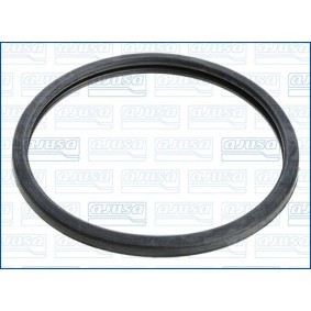 Dichtung, Thermostat 00813100
