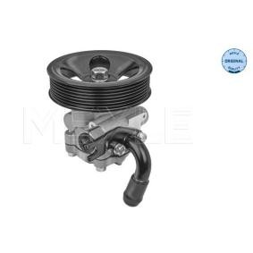 Servopumpe 37-14 631 0007