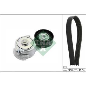 Acquista Kit Cinghie Poly-V da INA 529 0478 10 a buon mercato per soli 45,02 €