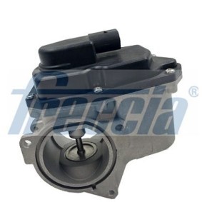 AGR-Ventil EGR12-123 von FRECCIA günstig für 133,04 € online kaufen