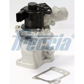 AGR-Ventil für FIAT von FRECCIA