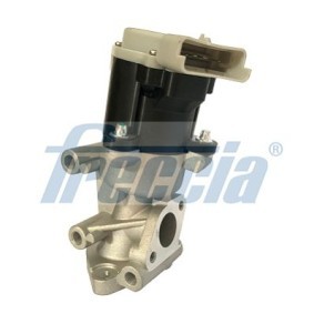 Acquista Valvola EGR da FRECCIA EGR12-169 a buon mercato per soli 136,21 €