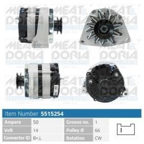 Lichtmaschine von MEAT & DORIA