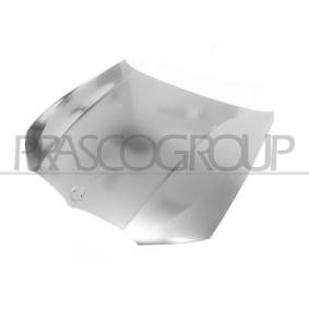 Motorhaube BM0343100
