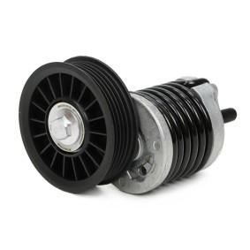 Comprar Polea tensora, correa poli V de MASTER-SPORT N31034-PCS-MS a bajo precio de 42,95 €