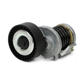 Comprar Polea tensora, correa poli V de MASTER-SPORT N31058-PCS-MS a bajo precio de 33,43 €