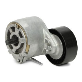 Comprar Polea tensora, correa poli V de MASTER-SPORT N32080-PCS-MS a bajo precio de 24,97 €