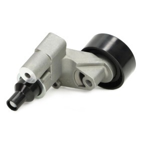 Comprar Polea inversión / guía, correa poli V de MASTER-SPORT N33029-PCS-MS a bajo precio de 44,50 €