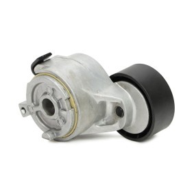 Umlenk- / Führungsrolle, Keilrippenriemen N33161-PCS-MS
